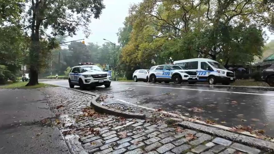 Woman stabbed to death inside Central Park, NYPD says