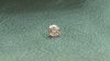 Lost a diamond? Couple finds rare stone on Times Square restaurant floor