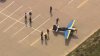 Pilot makes emergency landing at popular Long Island park