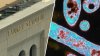 Yankees say Legionella bacteria found in stadium cooling tower not linked to outbreak