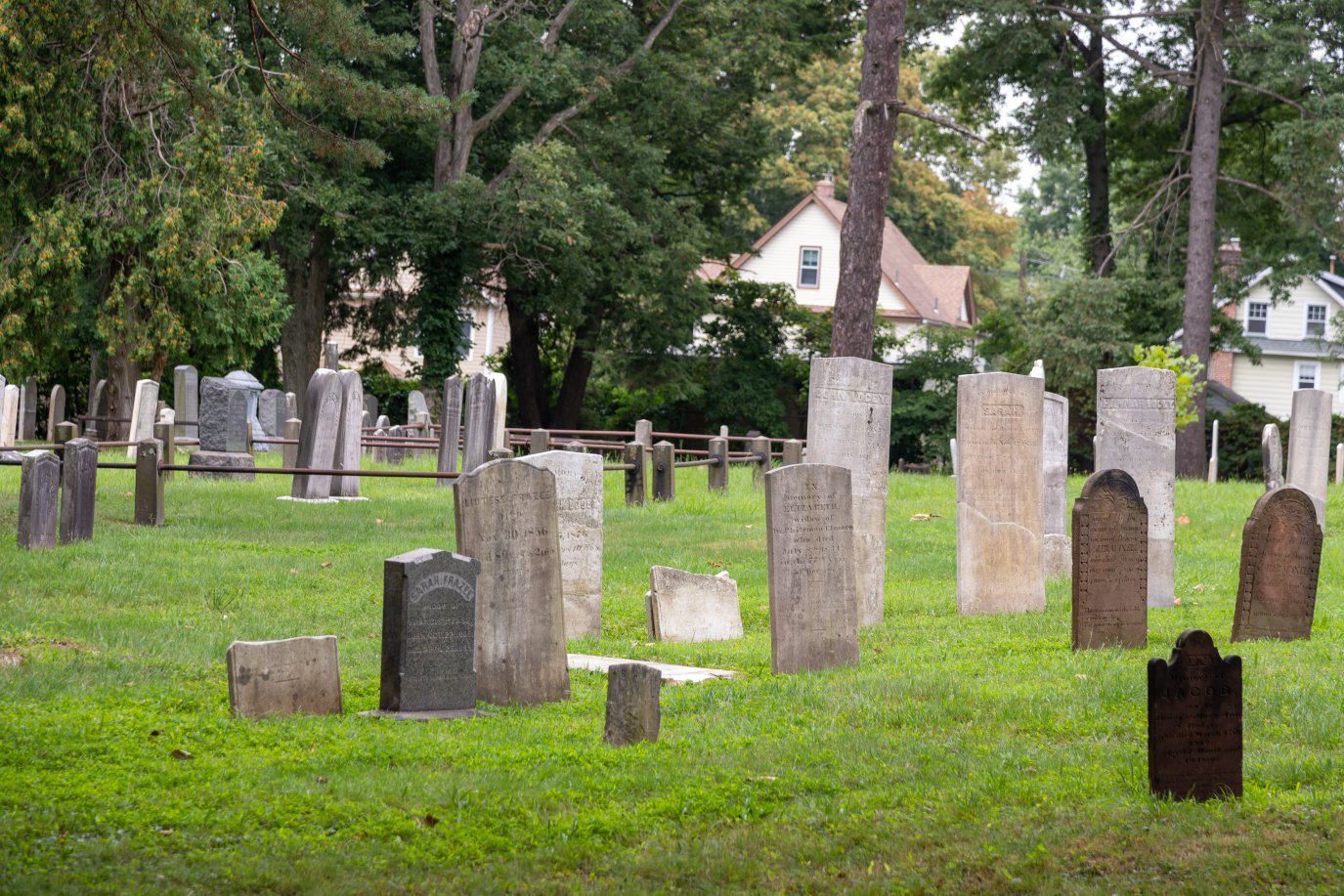Encouraging Networking NJ hometown of ‘Addams Family’ creator embraces ghoulish legacy – NBC ...