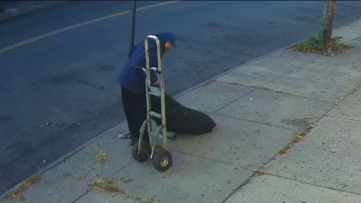 Dead body found inside bag left on Brooklyn sidewalk in middle of night