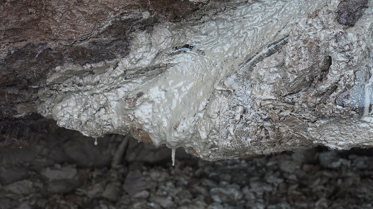 Arctic permafrost is thawing and leaking heat-trapping gas into the atmosphere