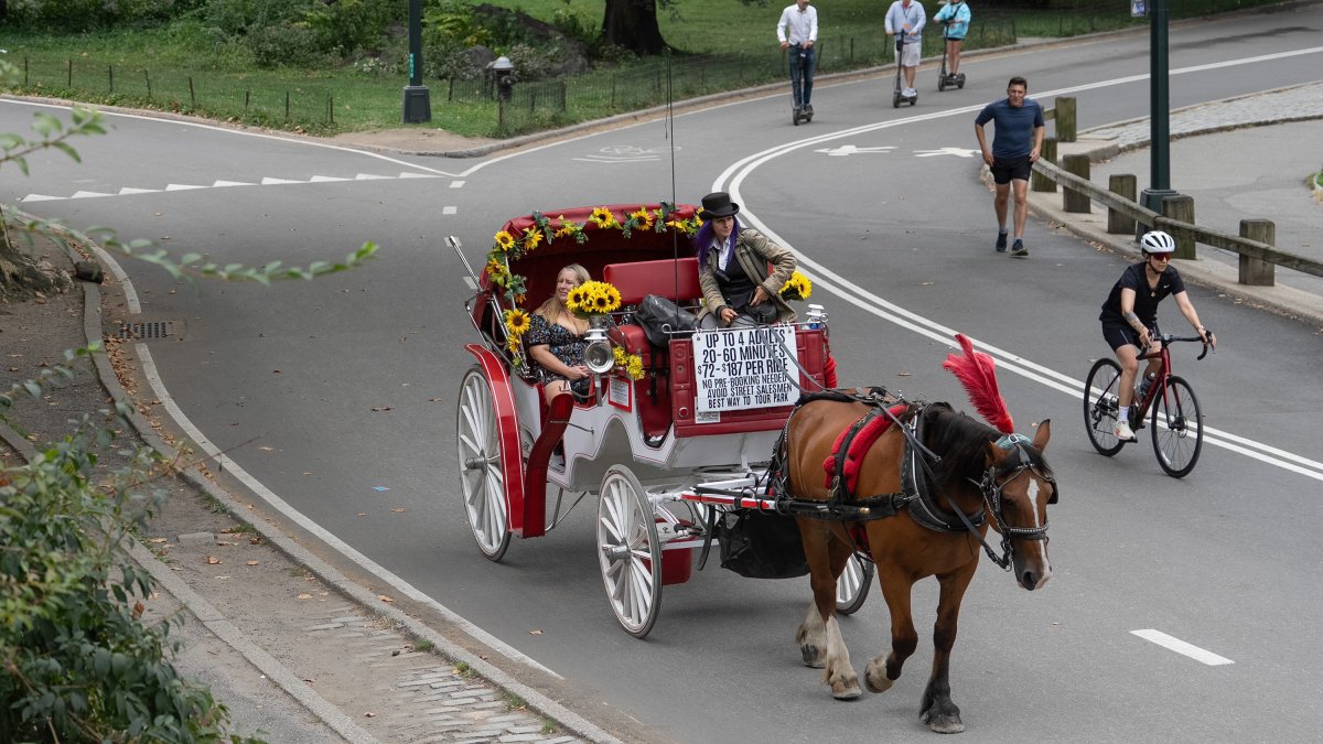 City Council to vote on proposal to end NYC horse carriages in 2028