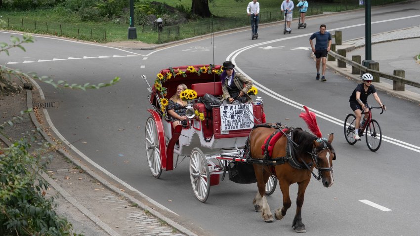 A horse-drawn carriage is pictured in Central Park on the first day of autumn, Monday, Sept. 22, 2025, in Manhattan, New York City.