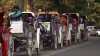 Fate of carriage horse industry lies in today's NYC Council vote