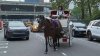 City Council to vote on bill that could ban carriage horse rides in New York City