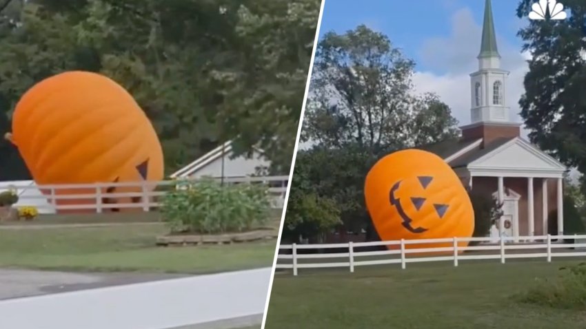 Pumpkin