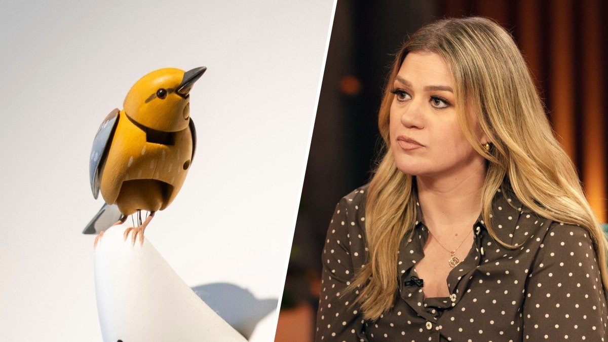 Brooklyn store in Kelly Clarkson feud says Molly the mechanical bird is now on sale