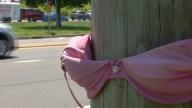 Delaware's Secret: Mystery Bras Spotted on Utility Poles