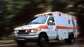 Dog Named Trigger Shoots Owner in the Foot