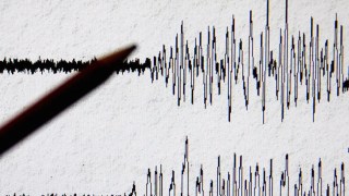 More than 30 Injured in Pakistani Capital Earthquake