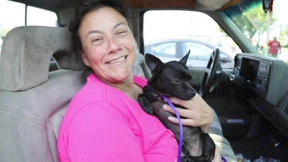 Watch: Squirt the Charming Chihuahua Is Going Home - NBC ...