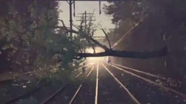 [NY] Downed Trees Cause Nightmare Commutes in Connecticut