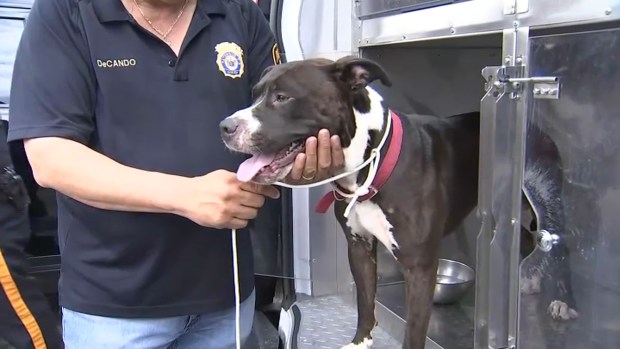 Top Tri-State News Photos