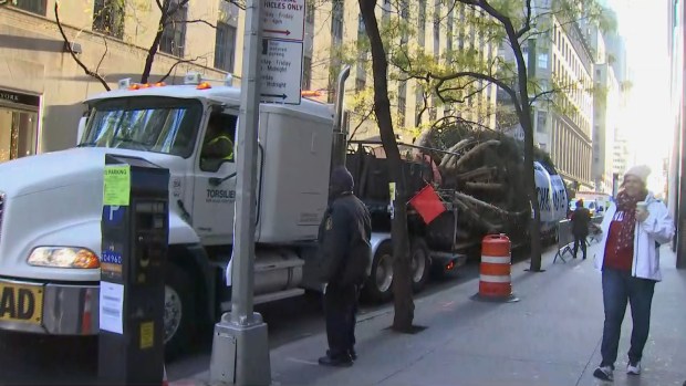 [NY] Behold! 2019 Tree Arrives at Rockefeller Center