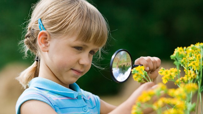 Tick Identifier: Which Ones Can Make You Sick?