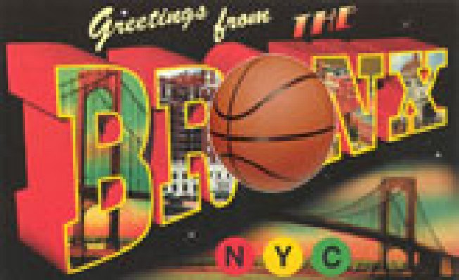 Bronx Nets? The Team's Suitors Span the Globe