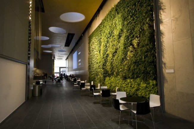 Regrown Lincoln Center Atrium Makes Its Debut