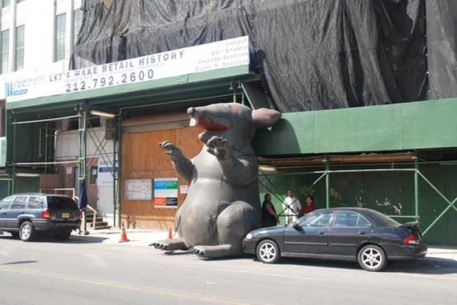 Burg's Kent Avenue Rat Problem Still Serious