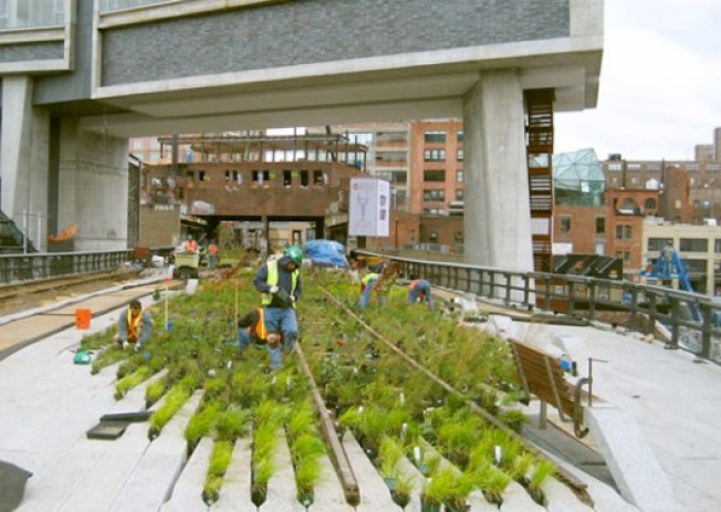 High Line Construction Chronicles: More Signs of Life