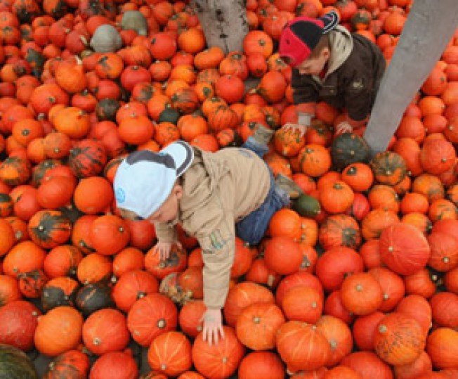 Get Outta Town: Falltacular Hud Valley Day Trip
