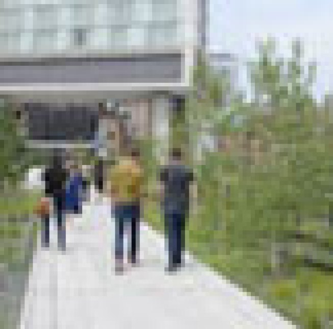 High Line Getting Political