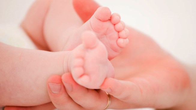 Twins Have Different Fathers, New Jersey Judge Finds in Paternity Case