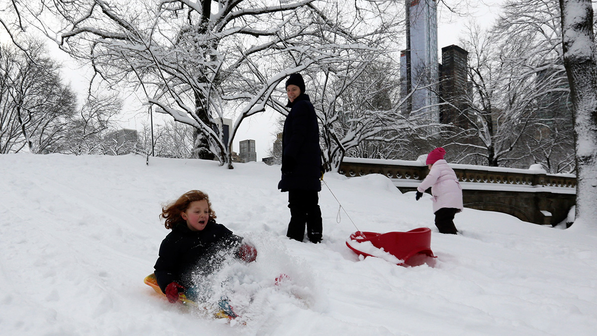 How Much Snow Did Your Neighborhood See?