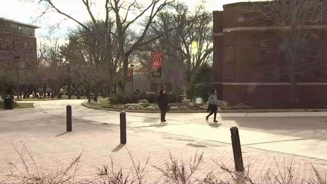 Cannabis Research Institute Opens at NJ University