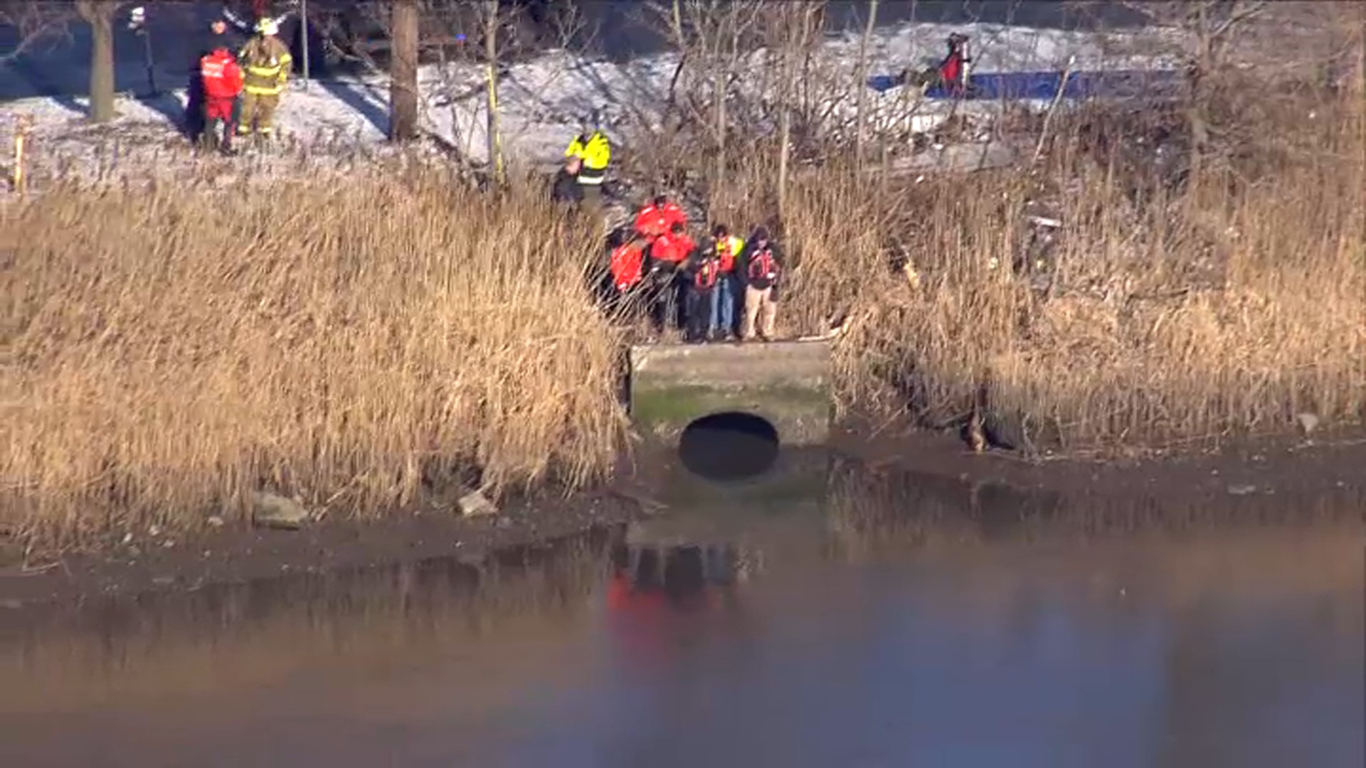 Man Crashes Car Into Creek, Falls Asleep in Nearby Biz: Cops