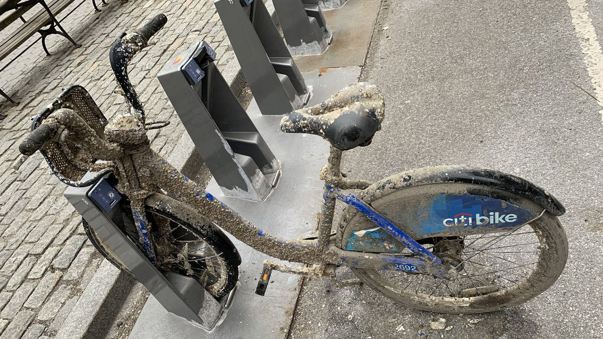 Man Finds Citi Bike Covered in Barnacles Docked in Rack