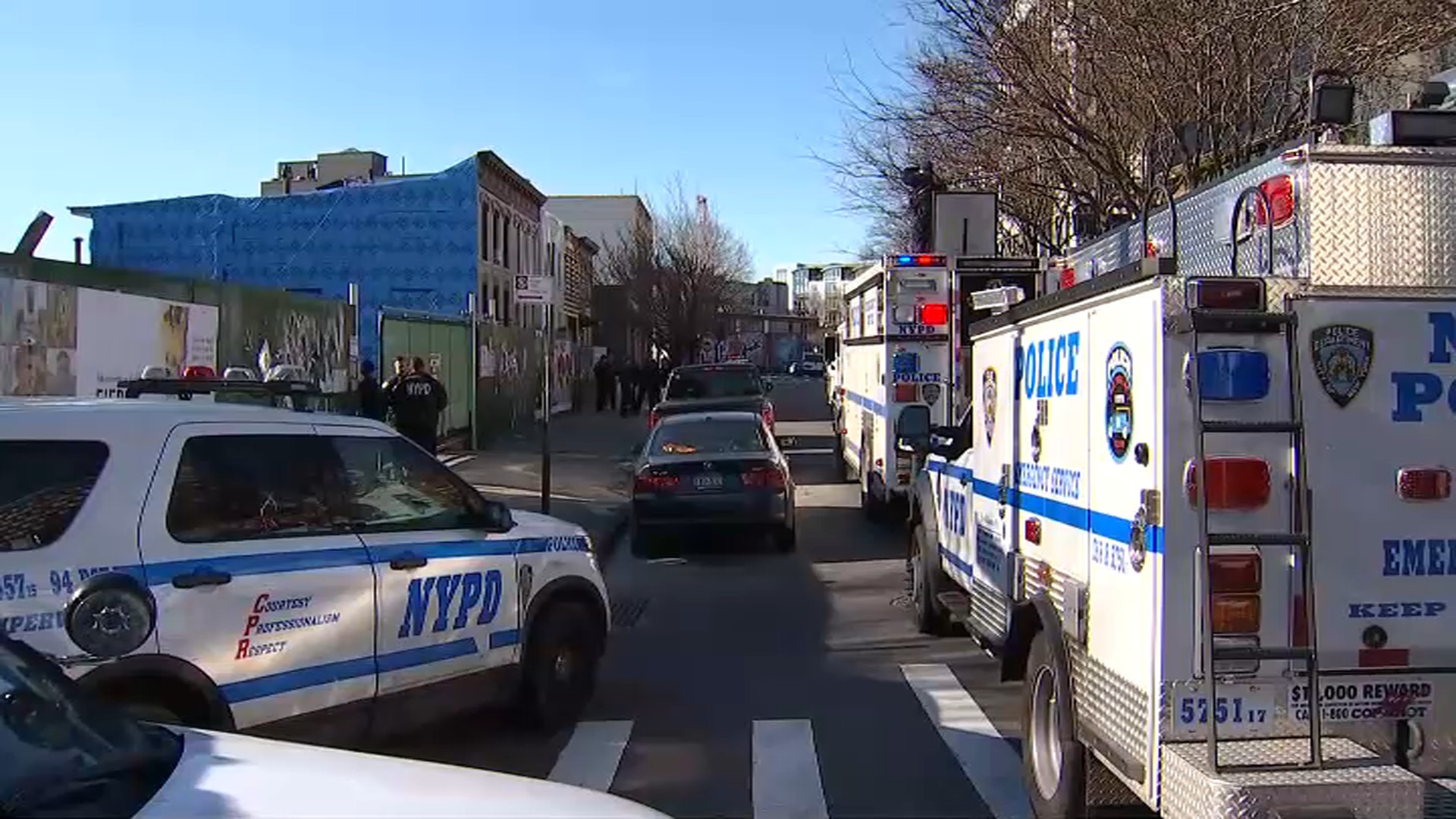 Stranger Slashes Woman Inside Brooklyn Apartment: Police
