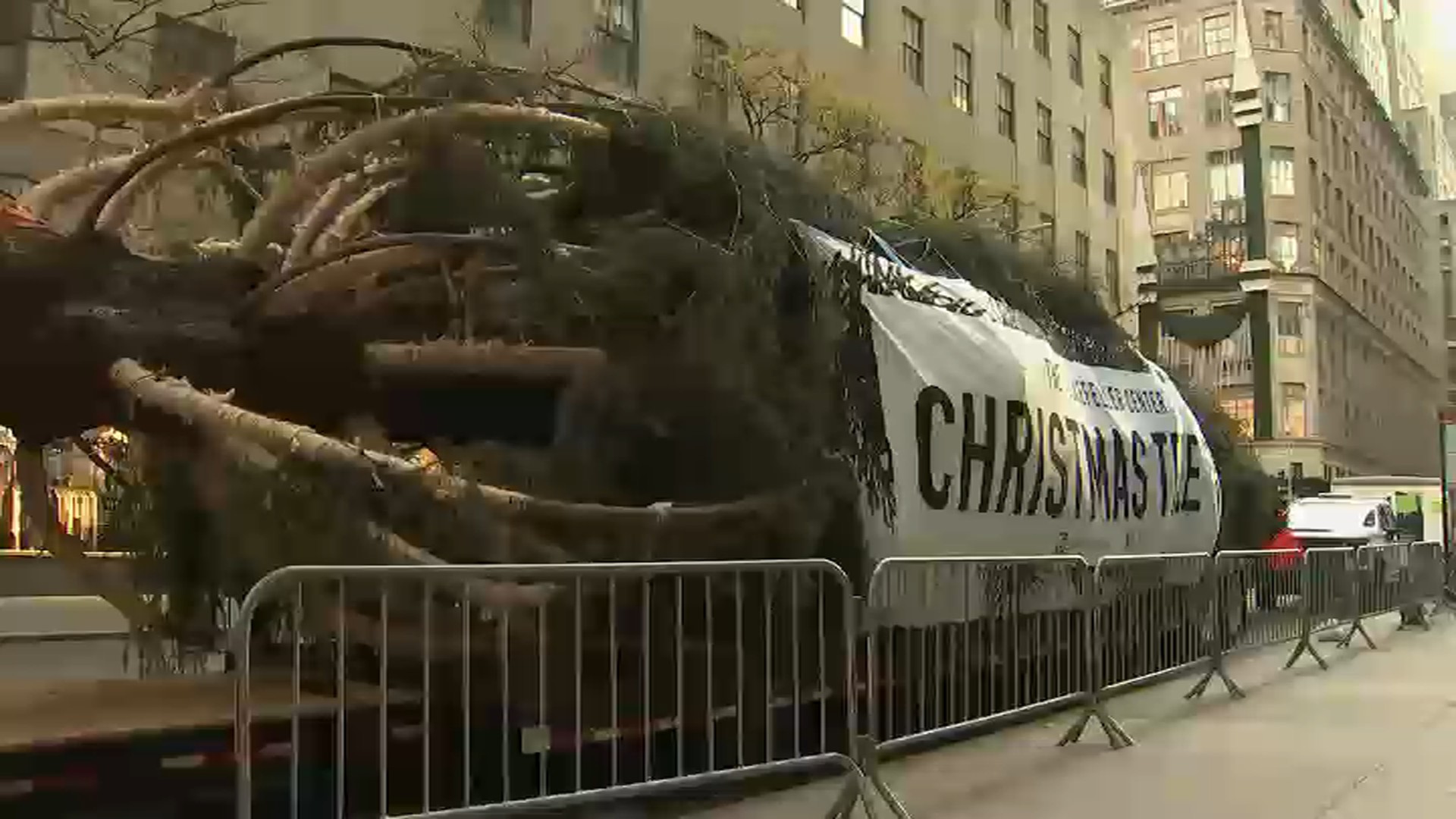 Behold! 2019 Tree Arrives at Rockefeller Center Today