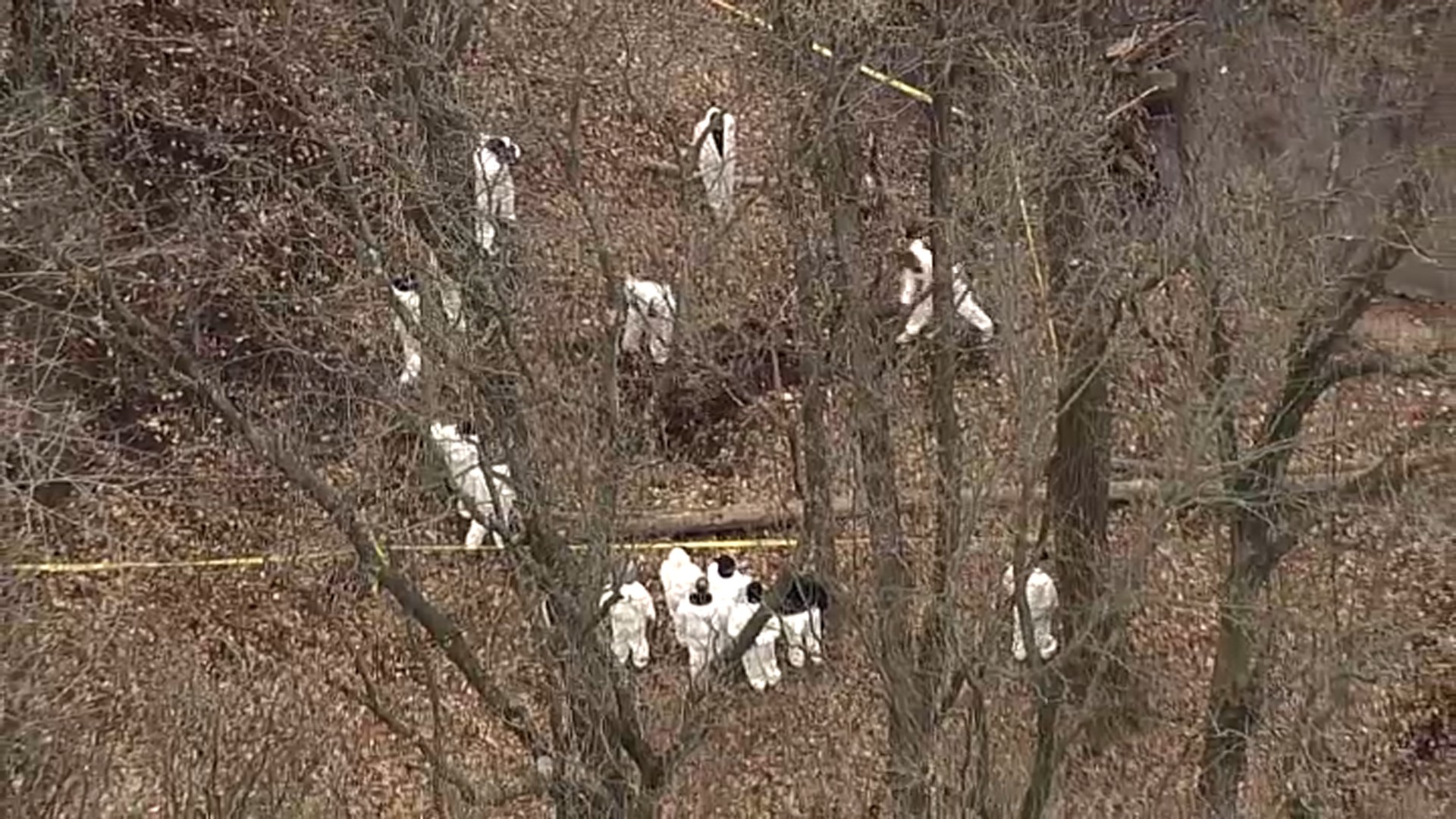 Crew Searches for Body in Woods on Staten Island: Source