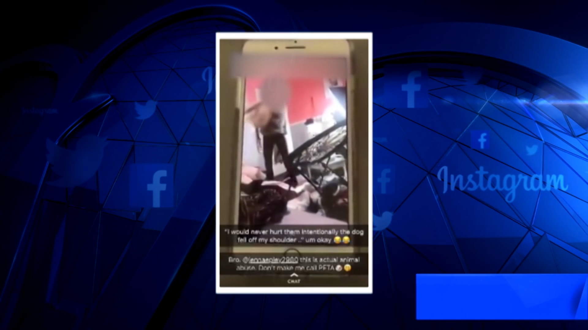 Video of Woman Throwing Dogs at Trampoline Sparks Investigation