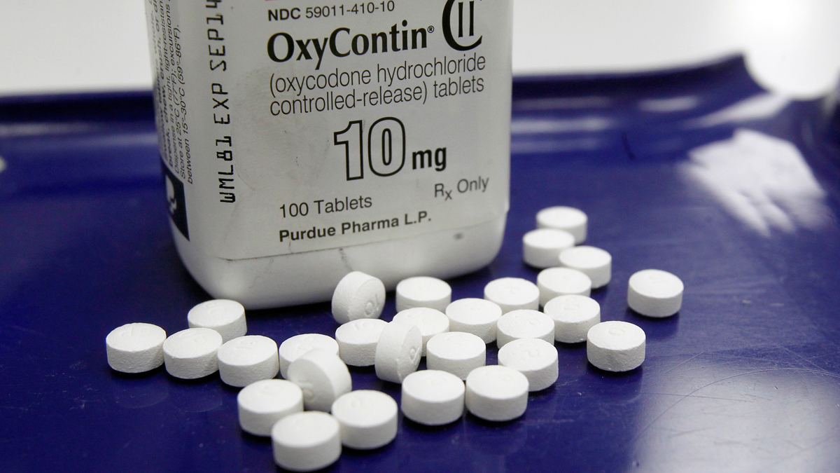 Happening Today: Shutdown, Syria, OxyContin, Steve Carell