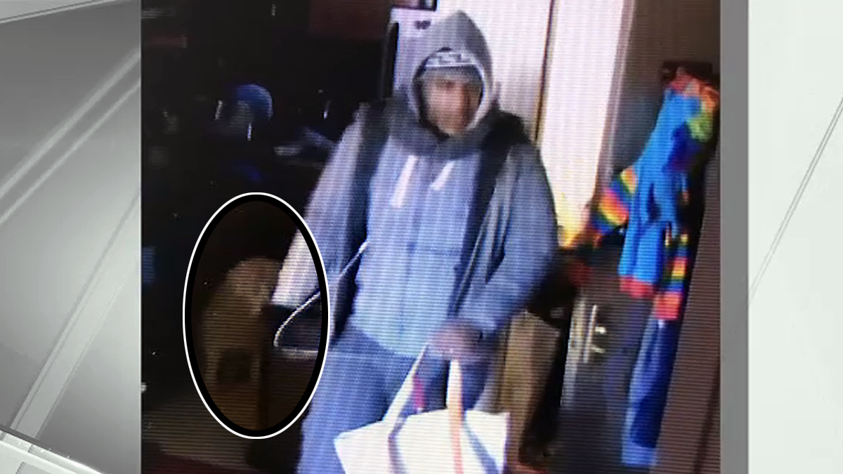 Dog Watches Burglar Steal $14K of Belongings From NYC Home